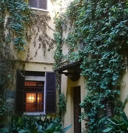 The Frog's Hideaway